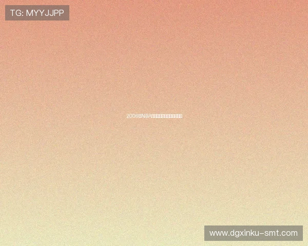 2006年NBA选秀的精彩回顾与重要球员